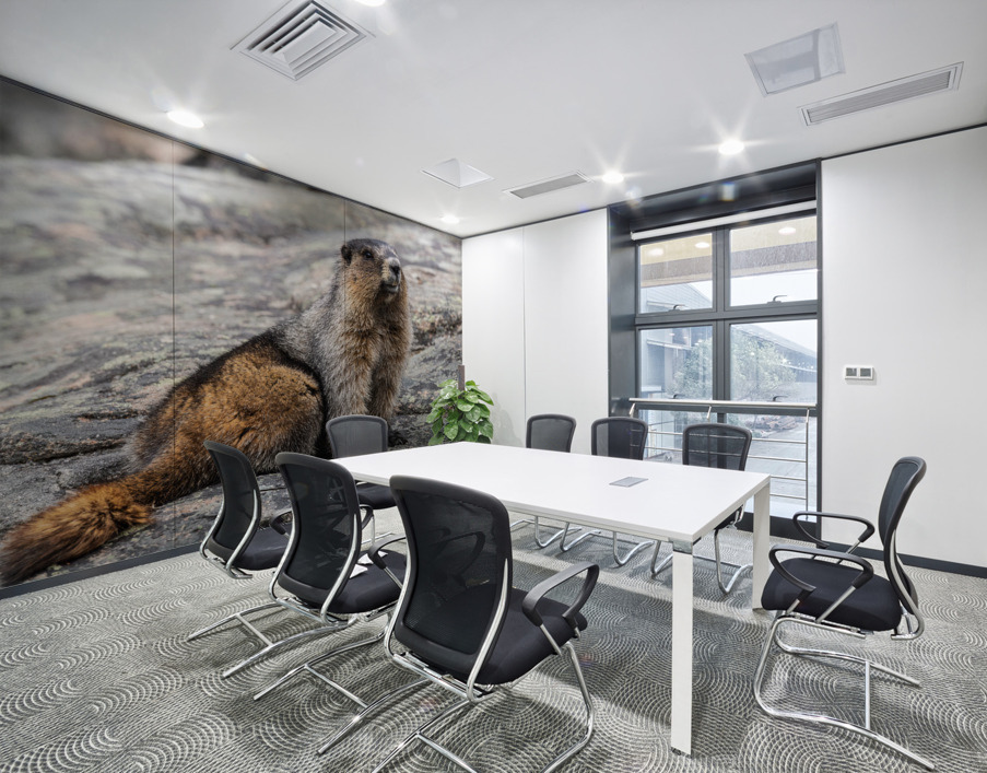 Hoary Marmot Wall Printing
