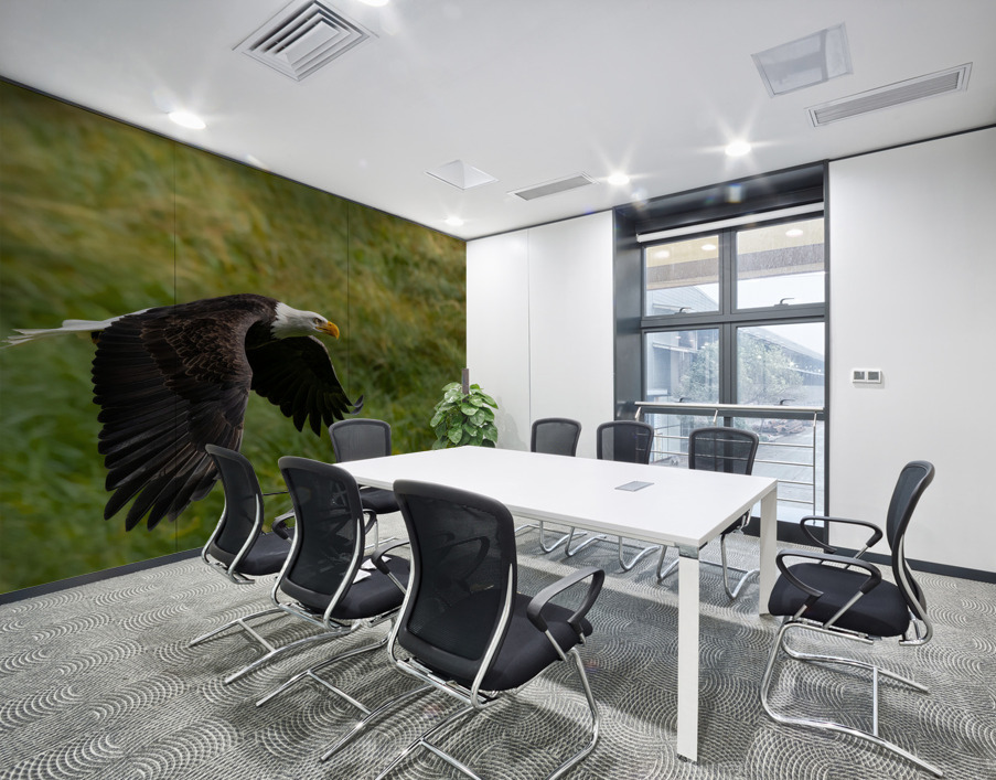 Bald Eagle Wall Printing