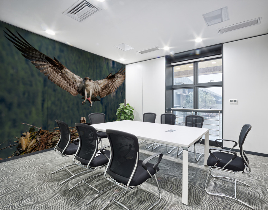 Osprey Wall Printing