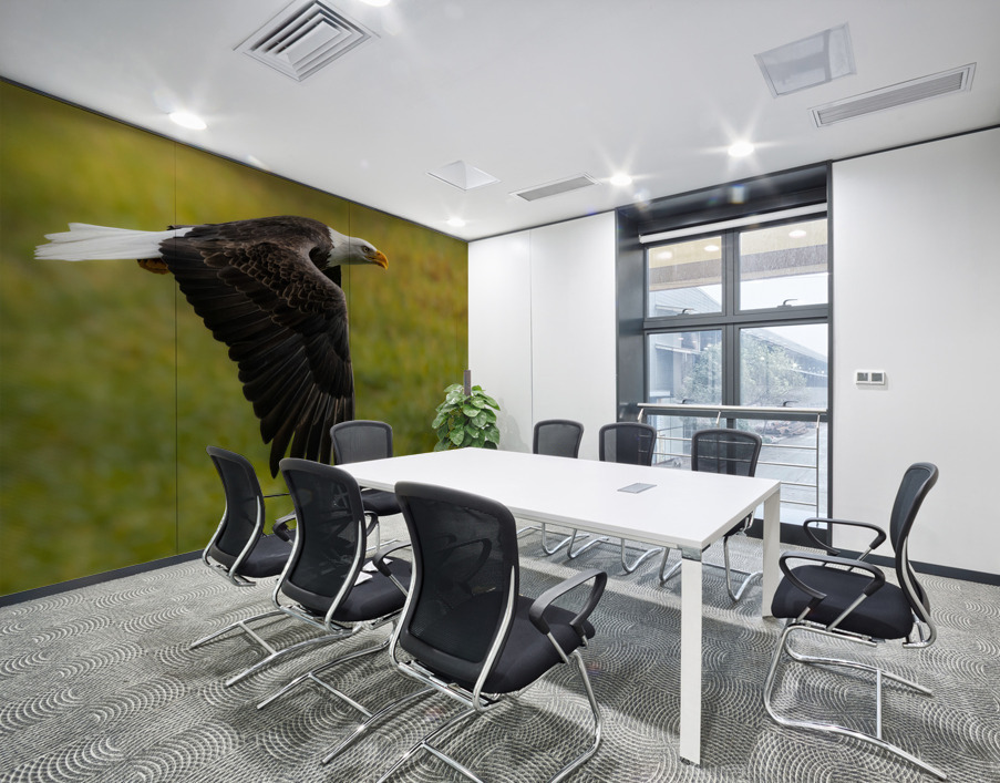 Bald Eagle Wall Printing