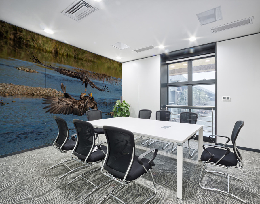 Juvenile Bald Eagles Wall Printing