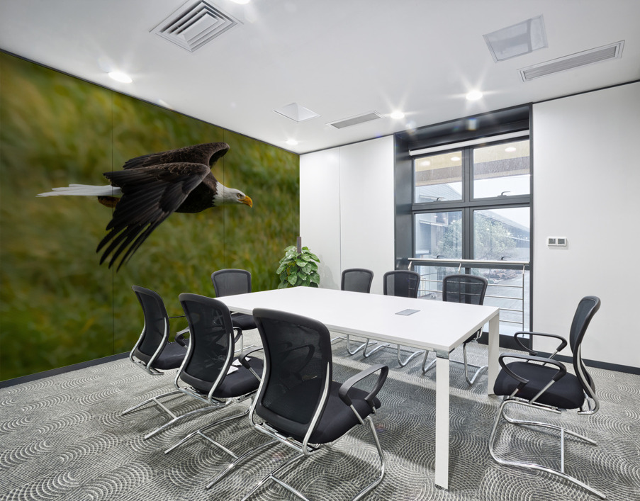 Bald Eagle Wall Printing