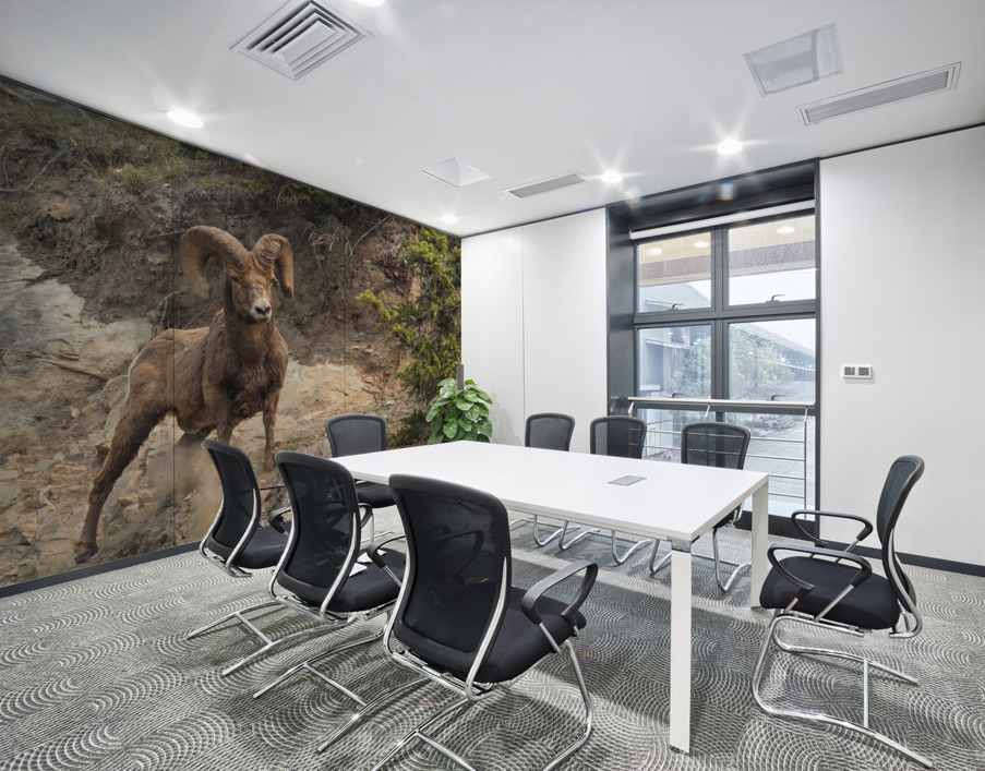Bighorn Ram Wall Printing