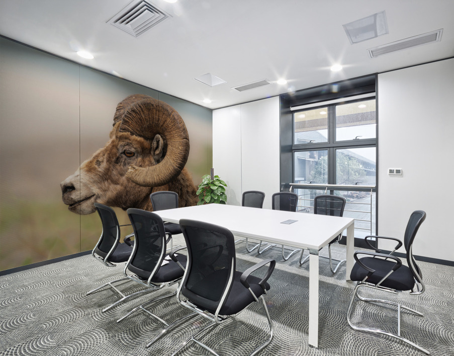 Bighorn Ram Wall Printing