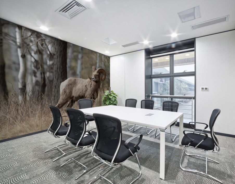 Bighorn Ram Wall Printing