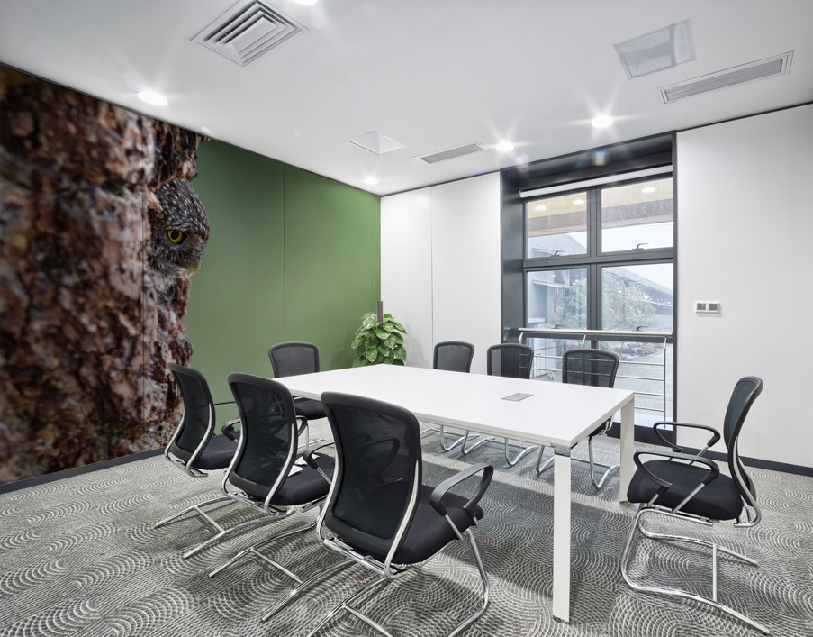 Northern Pygmy Owl Wall Printing