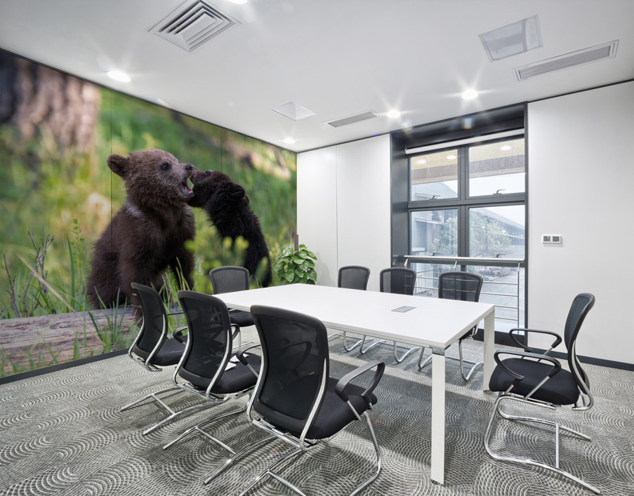 Grizzly Cubs Wall Printing
