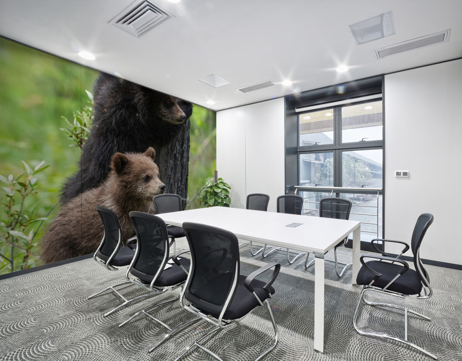 Grizzly Cubs Wall Printing
