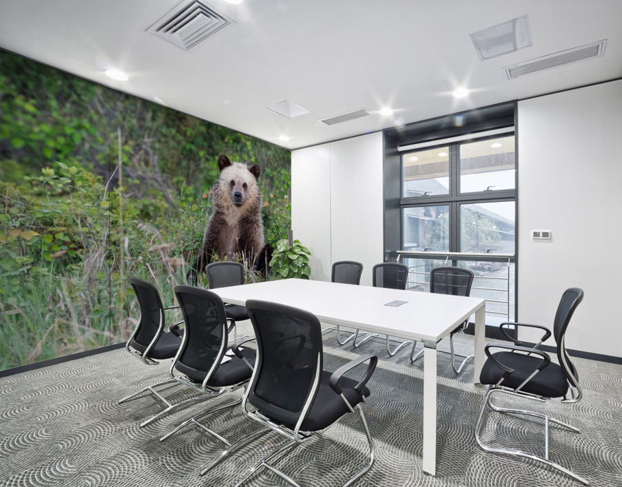 Grizzly Cub Wall Printing