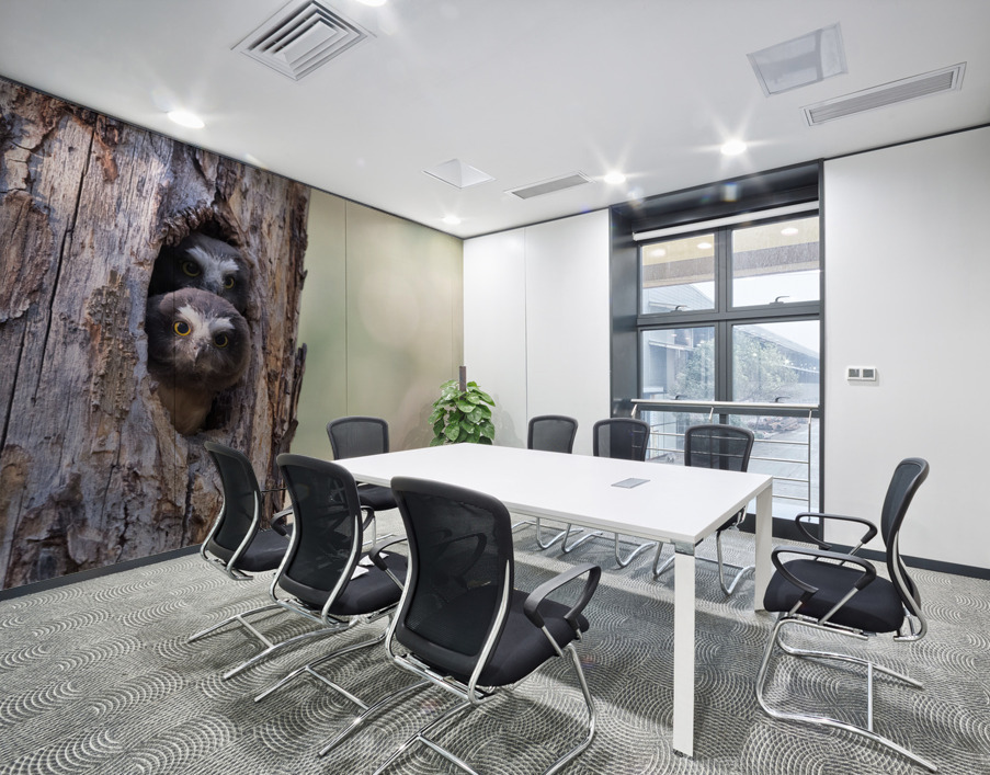 Northern Saw-Whet Owlets Wall Printing