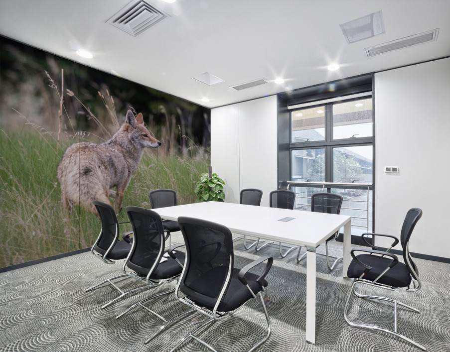 Coyote Wall Printing