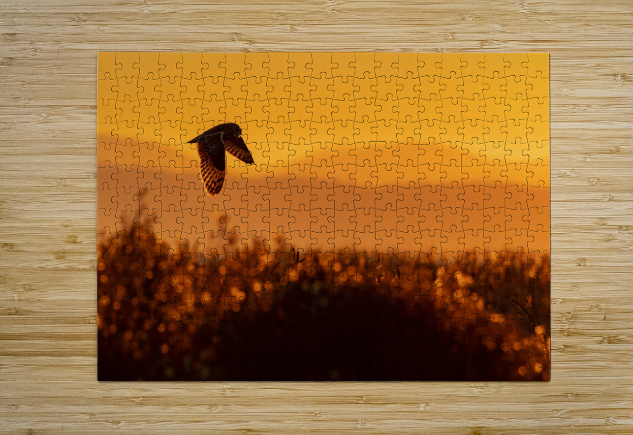 Short-eared Owl Randy Tremblay Photography Puzzle printing