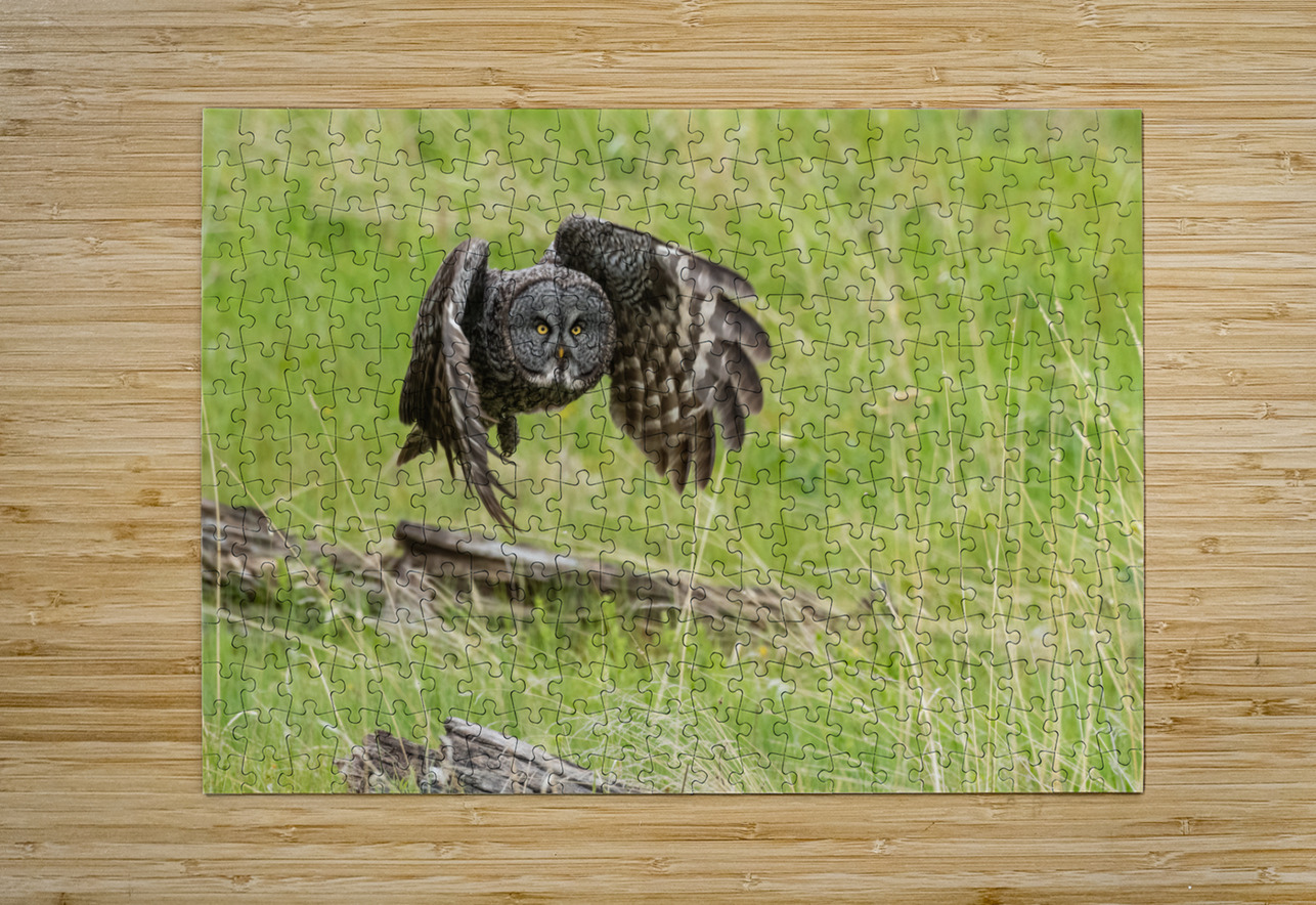 Great Gray Owl Randy Tremblay Photography Puzzle printing