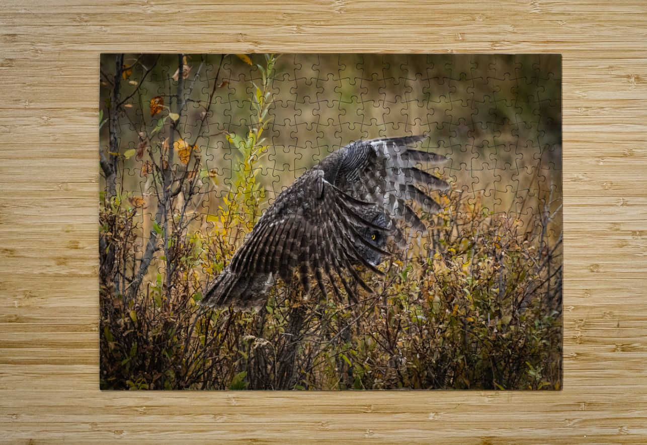 Great Gray Owl Randy Tremblay Photography Puzzle printing