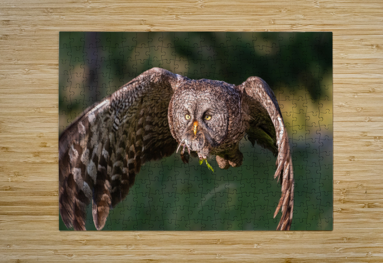 Great Gray Owl Randy Tremblay Photography Puzzle printing