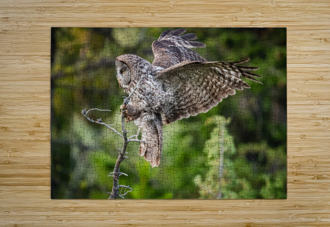 Great Gray Owl Randy Tremblay Photography Puzzle printing