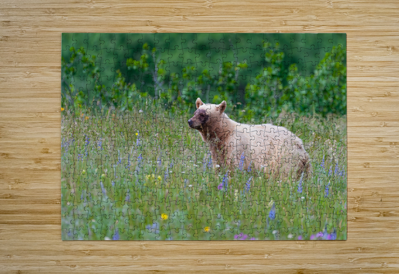 Black Bear Randy Tremblay Photography Puzzle printing