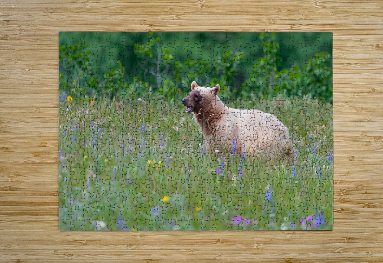Black Bear Randy Tremblay Photography Puzzle printing