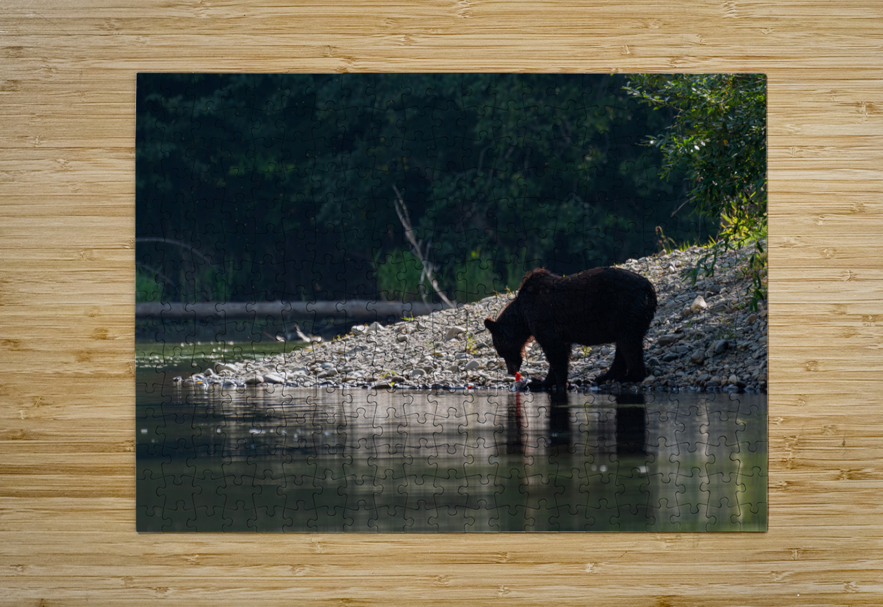 Grizzly Sow Randy Tremblay Photography Puzzle printing