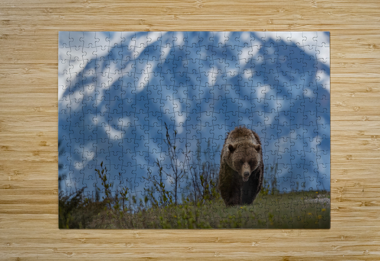 Grizzly Boar Randy Tremblay Photography Puzzle printing
