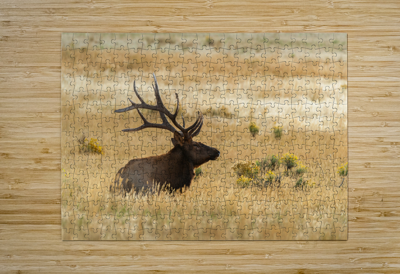 Bull Elk Randy Tremblay Photography Puzzle printing