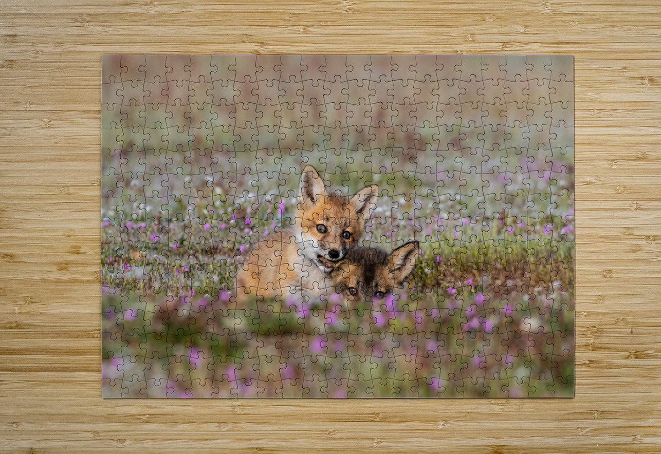 Red Fox Kits Randy Tremblay Photography Puzzle printing