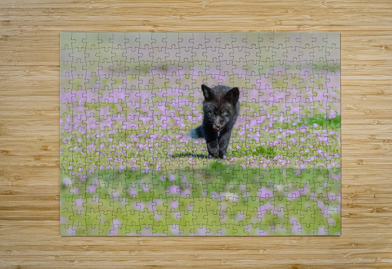 Red Fox Kit Randy Tremblay Photography Puzzle printing