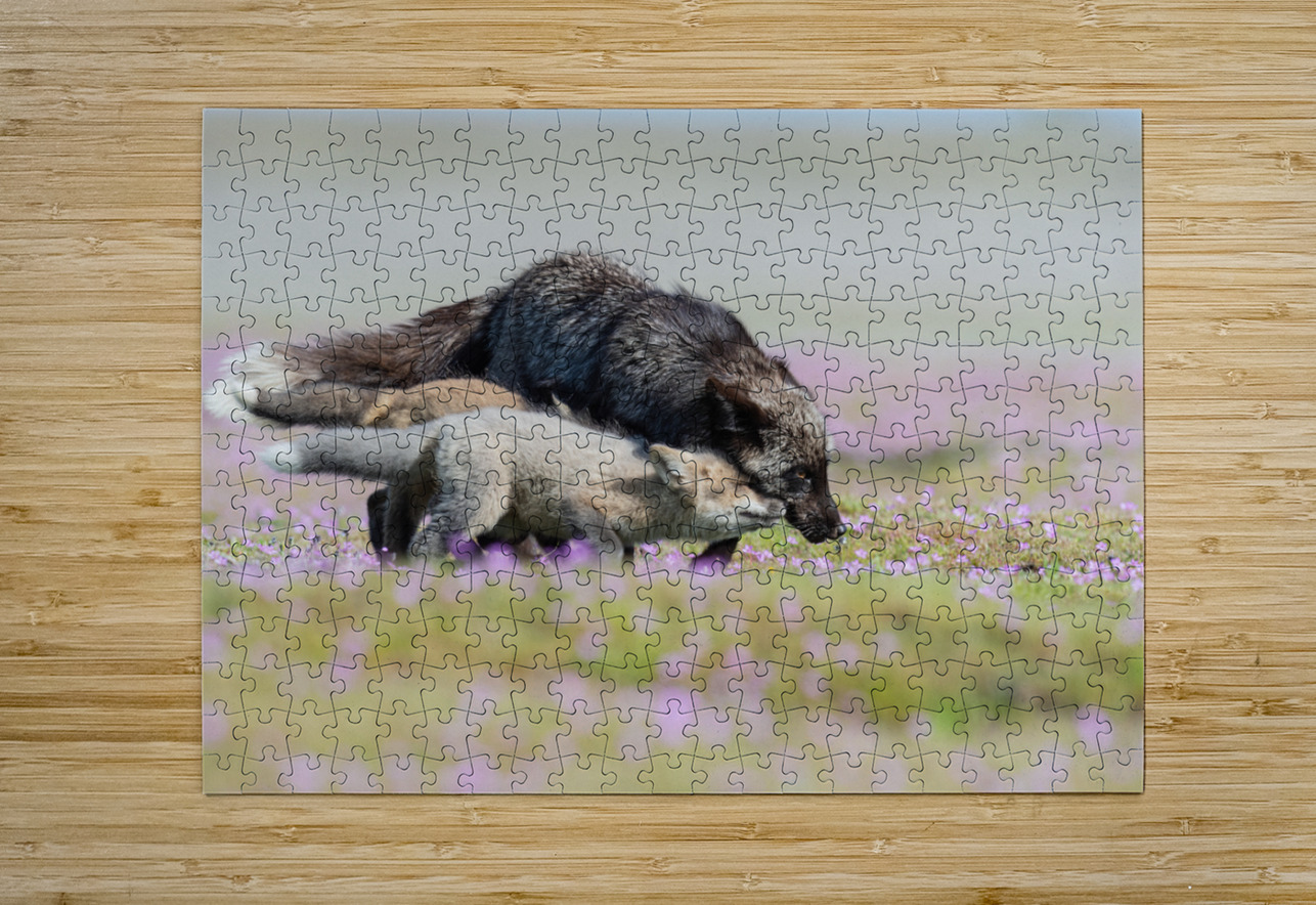 Red Fox with Kits Randy Tremblay Photography Puzzle printing