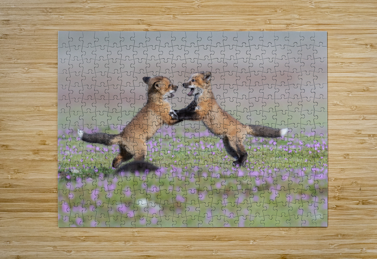 Red Fox Kits Randy Tremblay Photography Puzzle printing