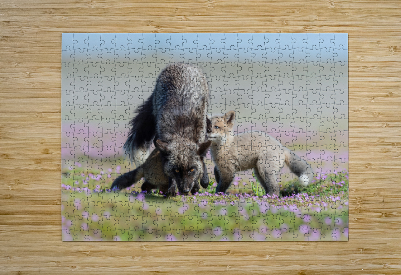 Red Fox with Kits Randy Tremblay Photography Puzzle printing