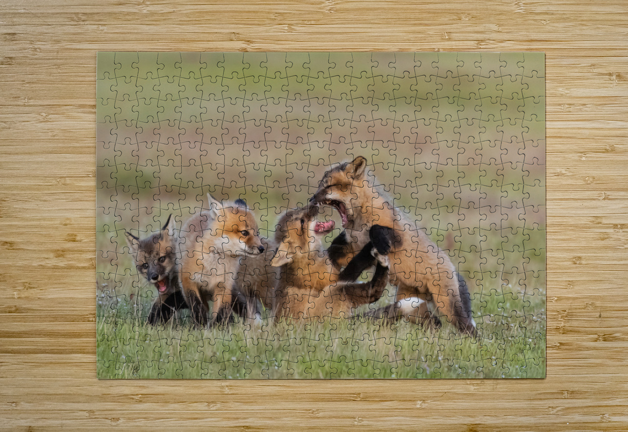 Red Fox Kits Randy Tremblay Photography Puzzle printing