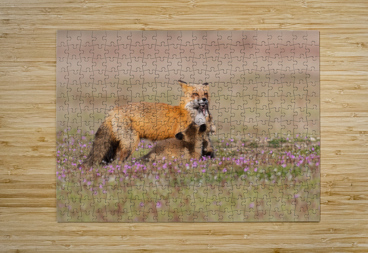 Red Fox with Kits Randy Tremblay Photography Puzzle printing