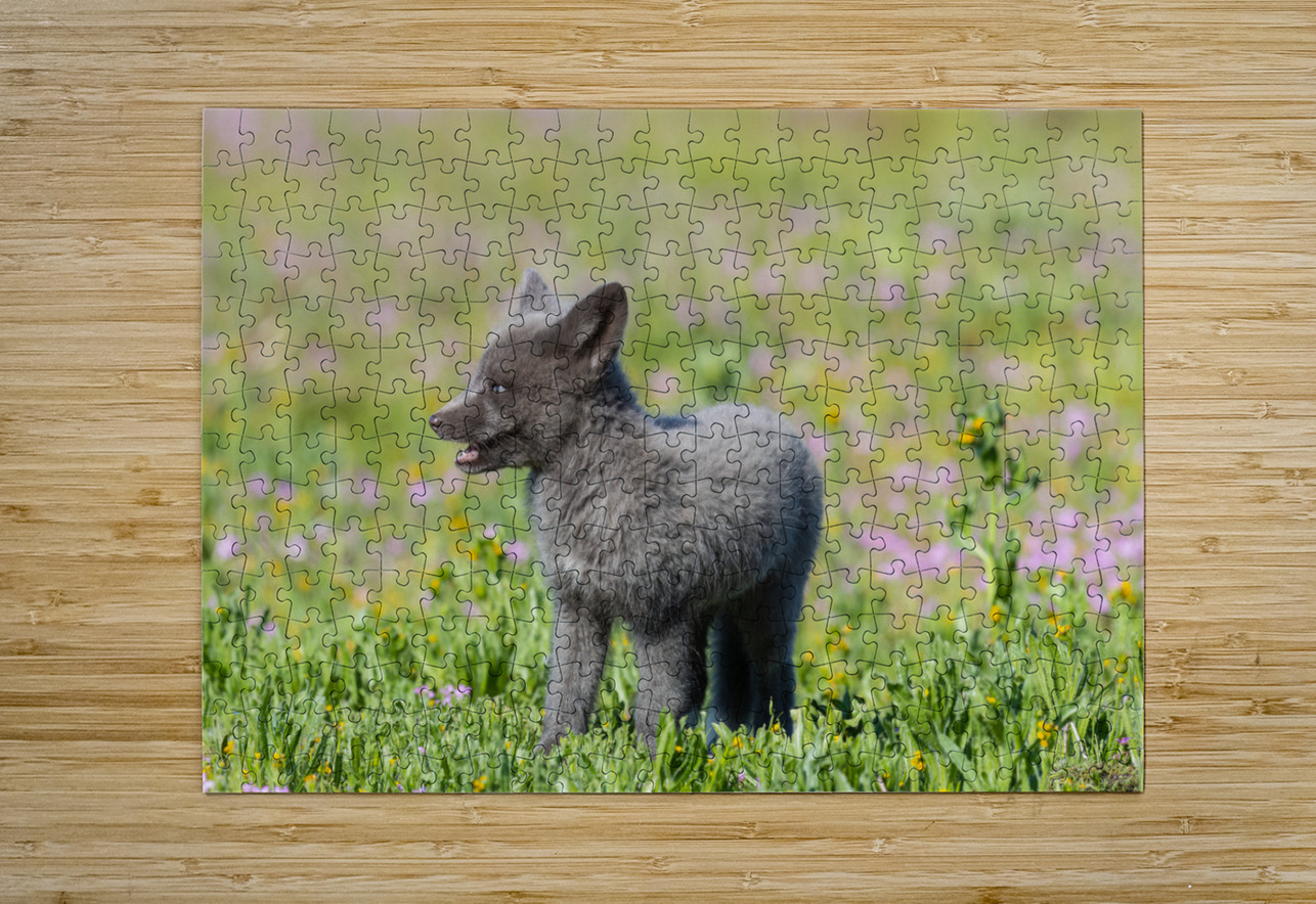 Red Fox Kit Randy Tremblay Photography Puzzle printing
