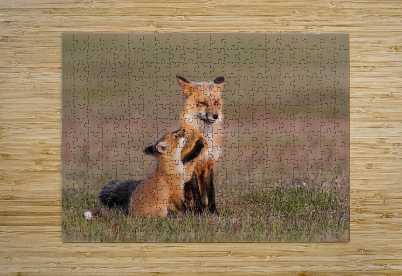 Red Fox with Kit Randy Tremblay Photography Puzzle printing