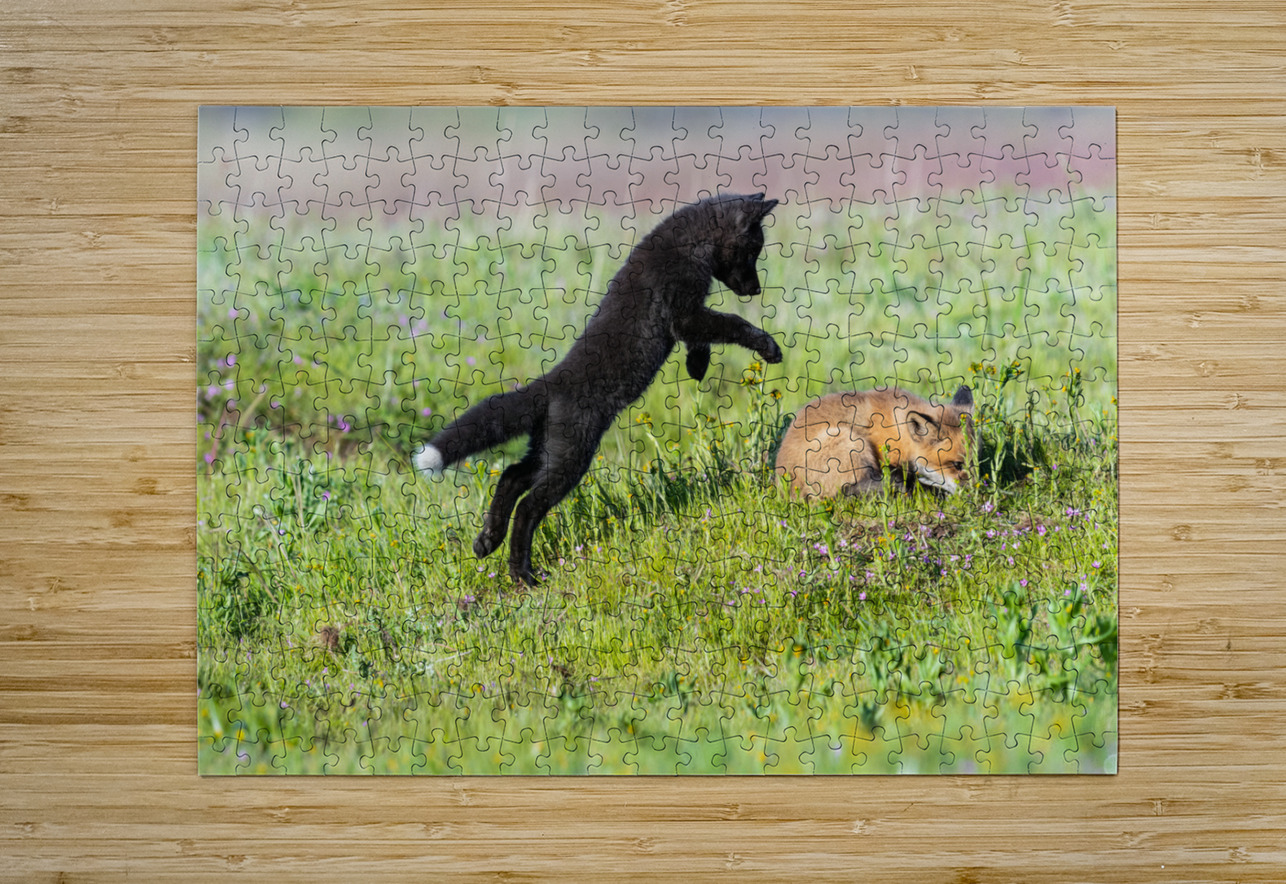 Red Fox Kits Randy Tremblay Photography Puzzle printing