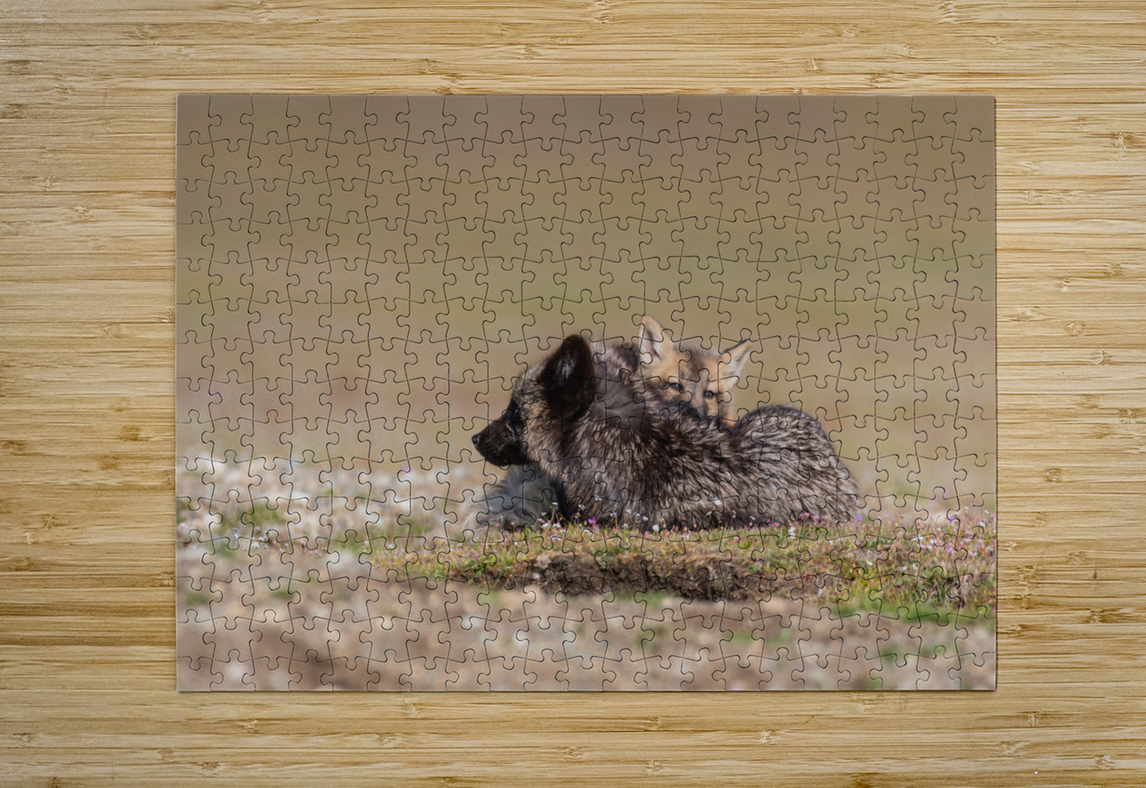 Red Fox with Kit Randy Tremblay Photography Puzzle printing