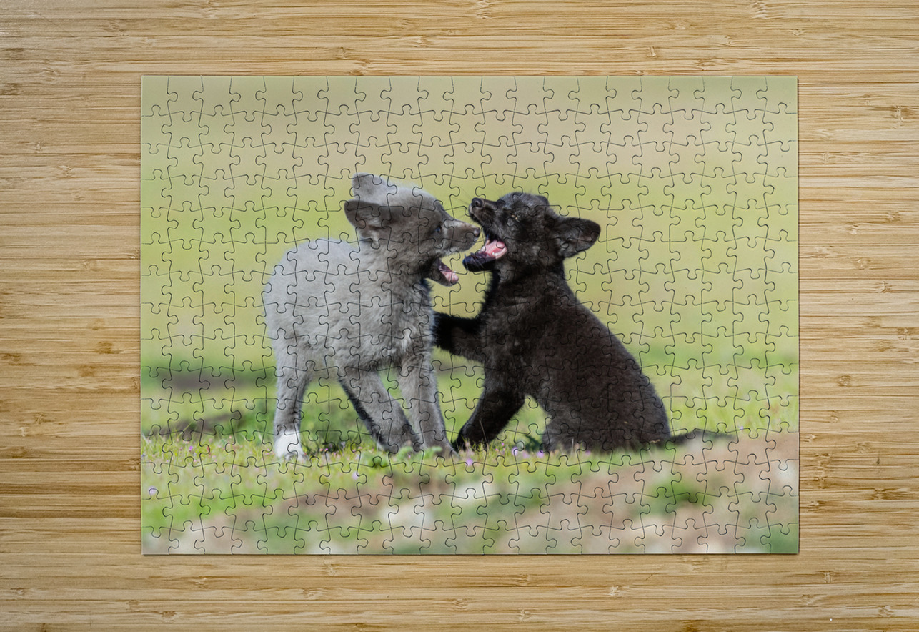 Red Fox Kits Randy Tremblay Photography Puzzle printing