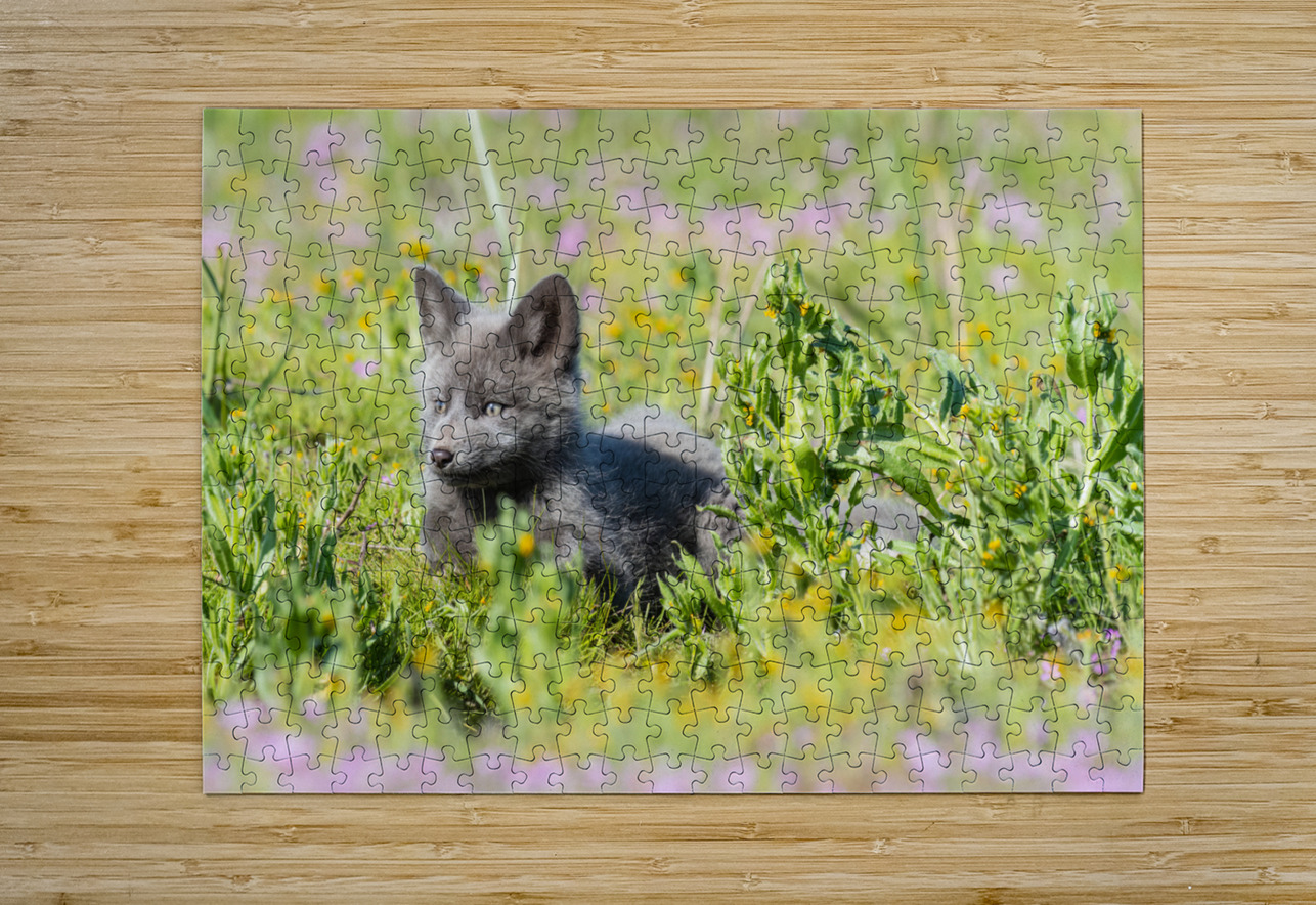 Red Fox Kit Randy Tremblay Photography Puzzle printing