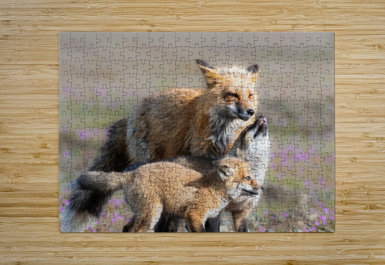 Red Fox with Kits Randy Tremblay Photography Puzzle printing