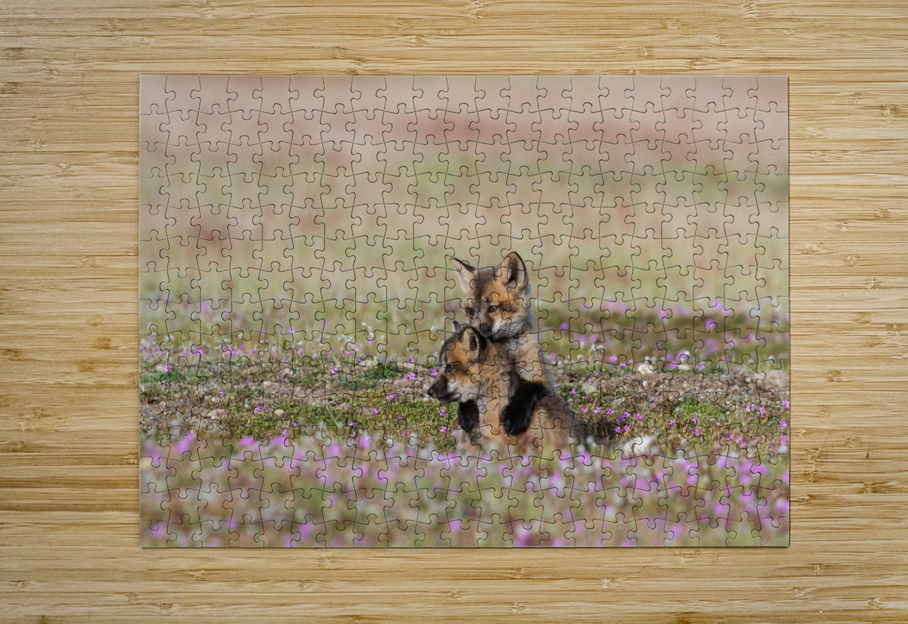 Red Fox Kits Randy Tremblay Photography Puzzle printing