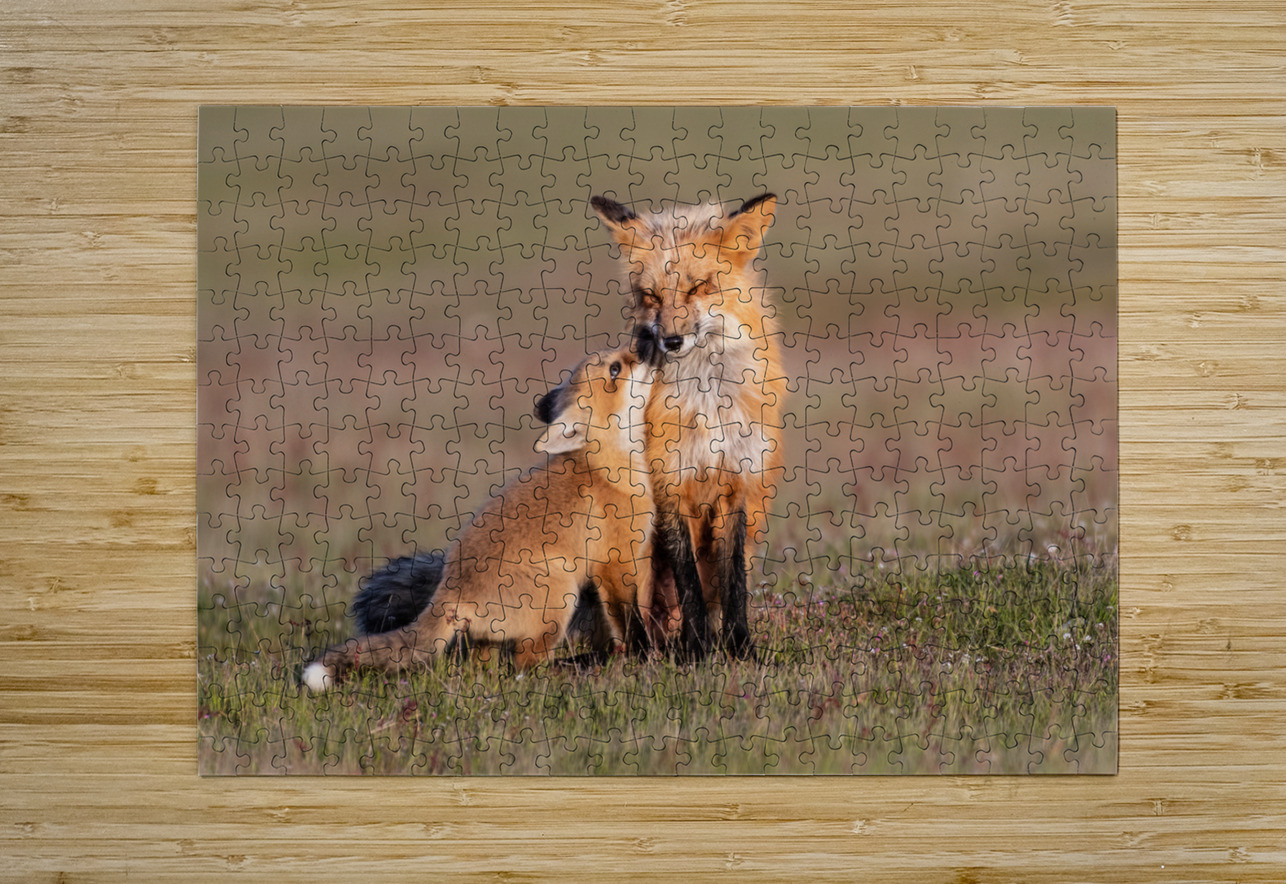 Red Fox with Kit Randy Tremblay Photography Puzzle printing