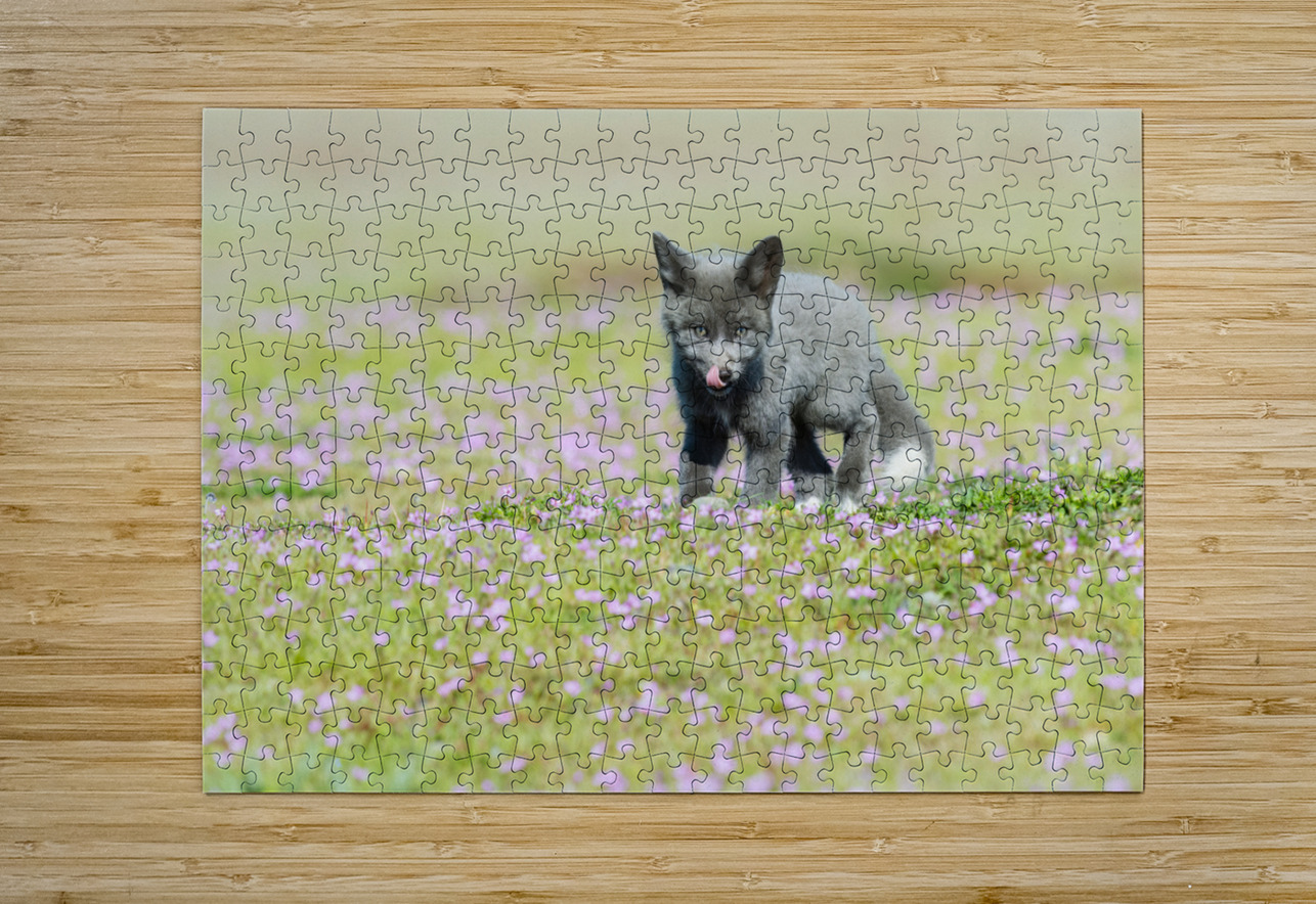 Red Fox Kit Randy Tremblay Photography Puzzle printing