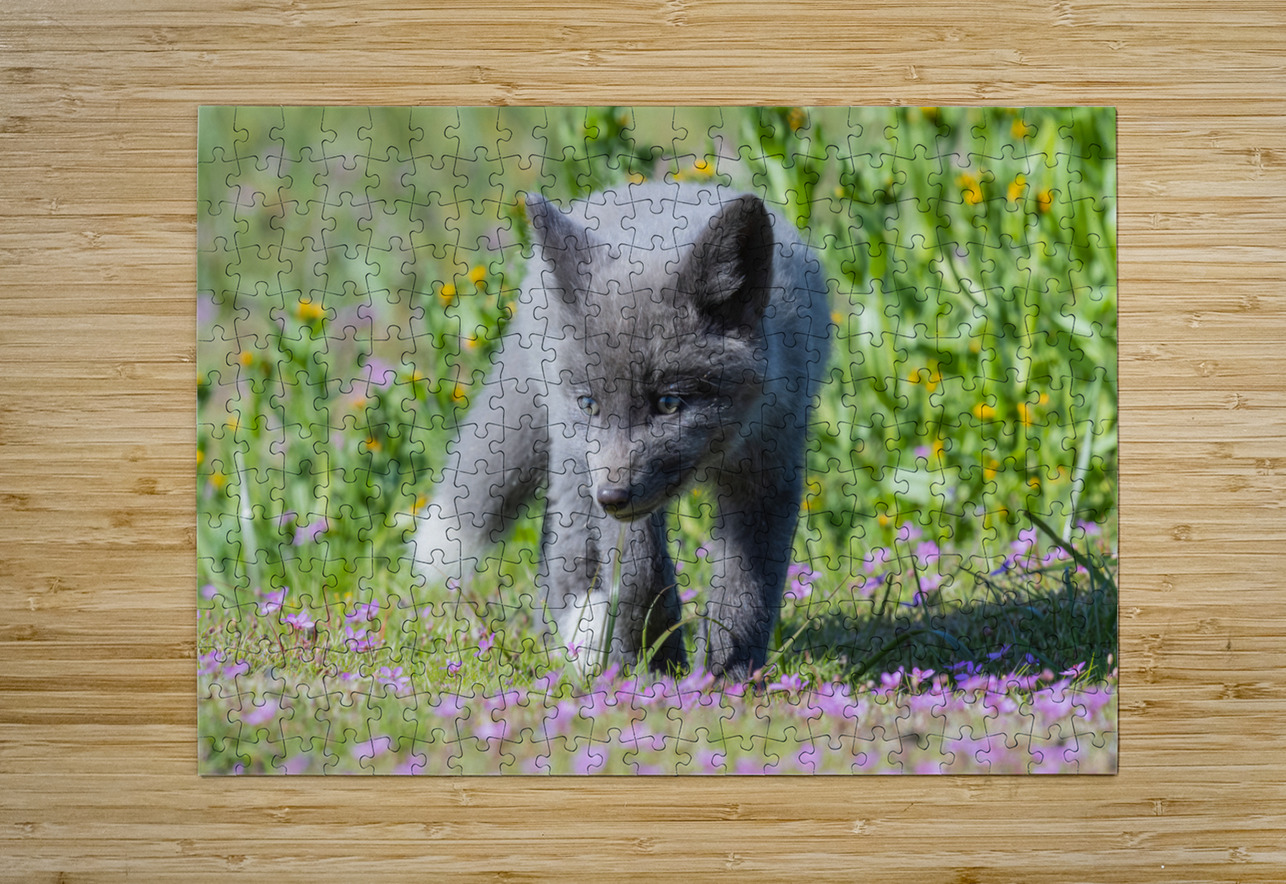 Red Fox Kit Randy Tremblay Photography Puzzle printing