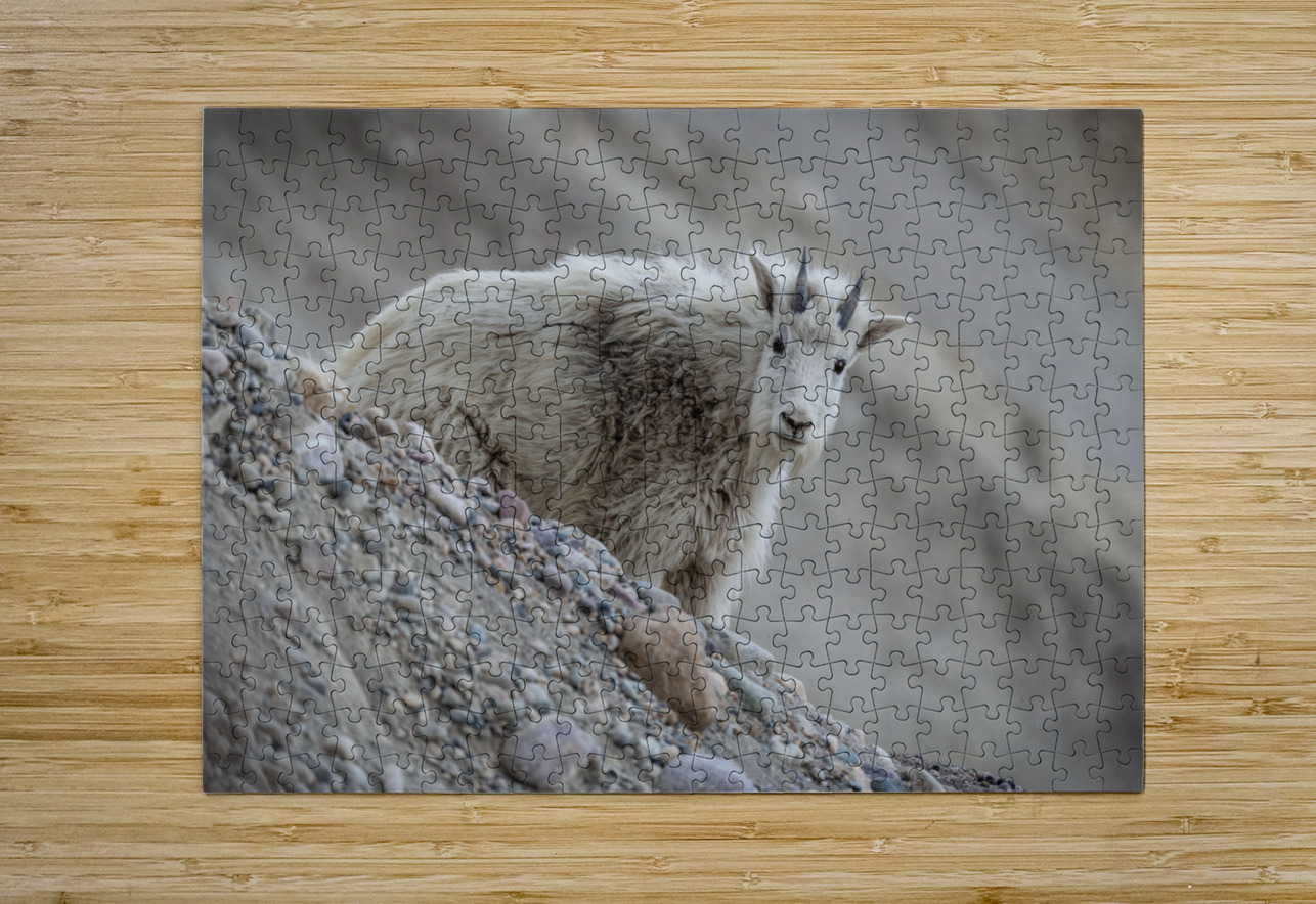Mountain Goat Kid Randy Tremblay Photography Puzzle printing