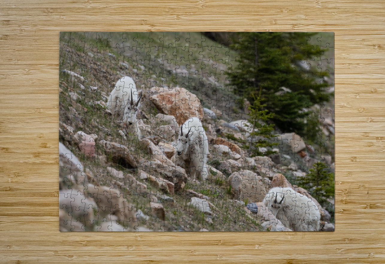 Mountain Goats Randy Tremblay Photography Puzzle printing