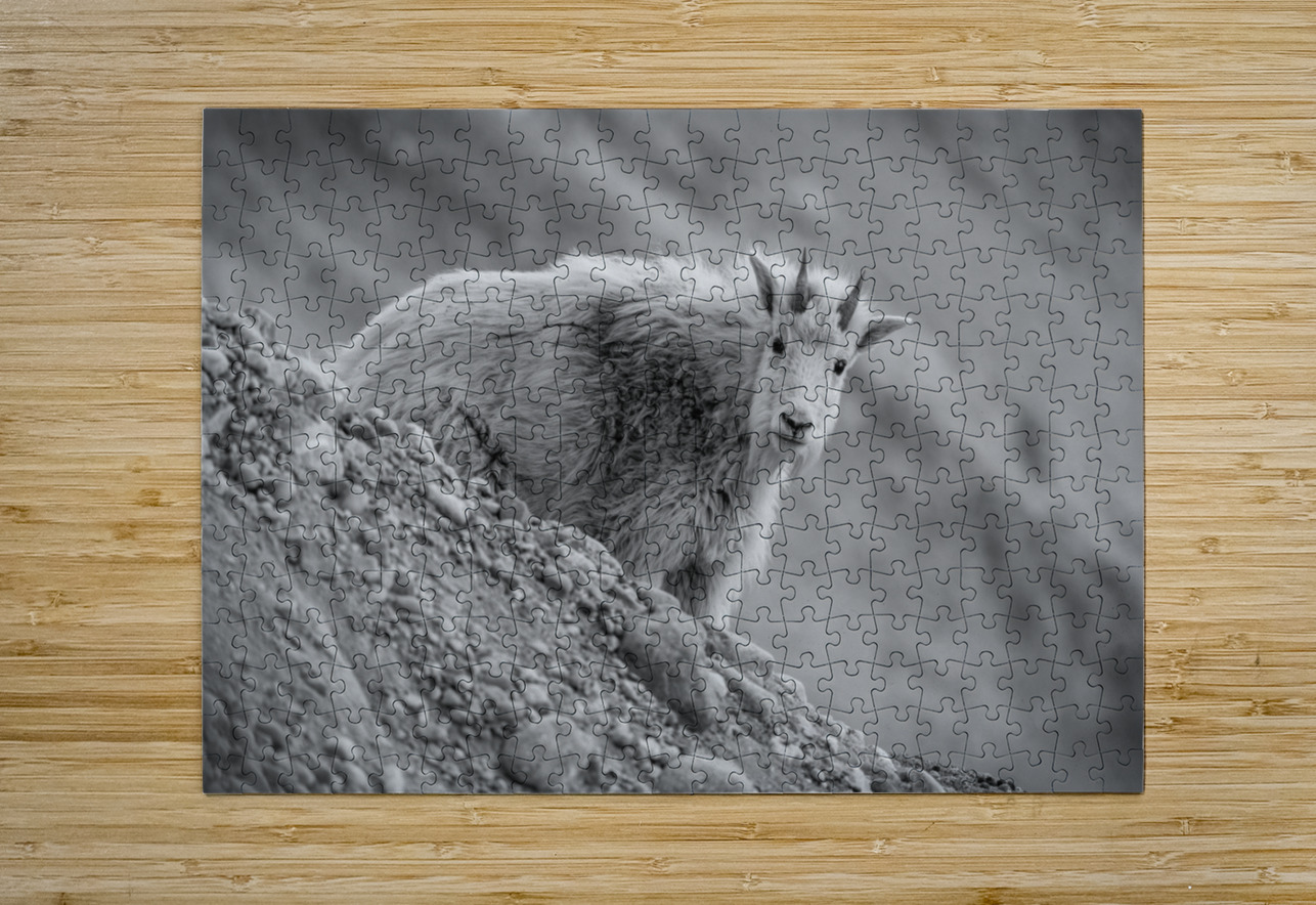 Mountain Goat Kid Randy Tremblay Photography Puzzle printing