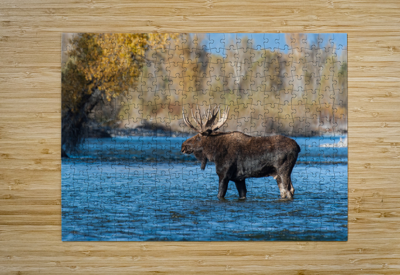 Bull Moose Randy Tremblay Photography Puzzle printing