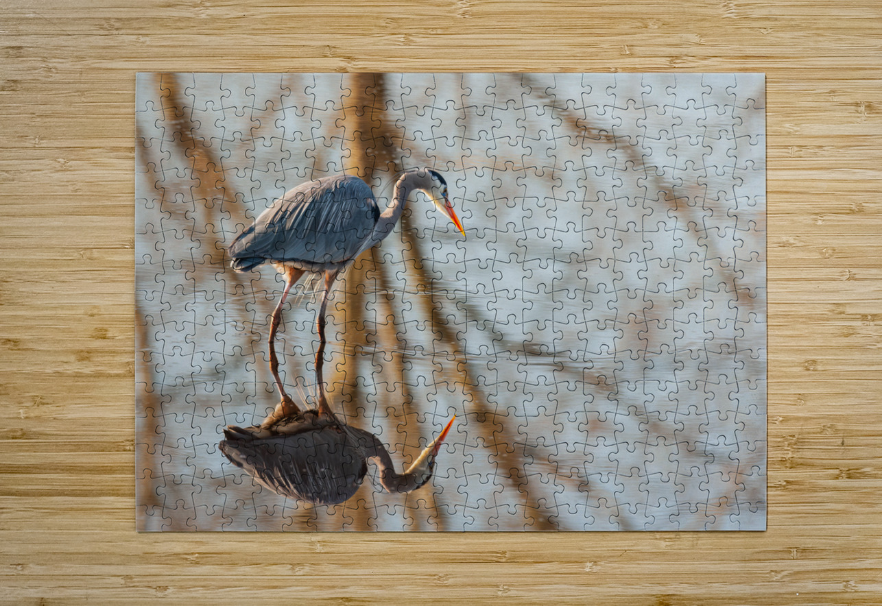 Great Blue Heron Randy Tremblay Photography Puzzle printing