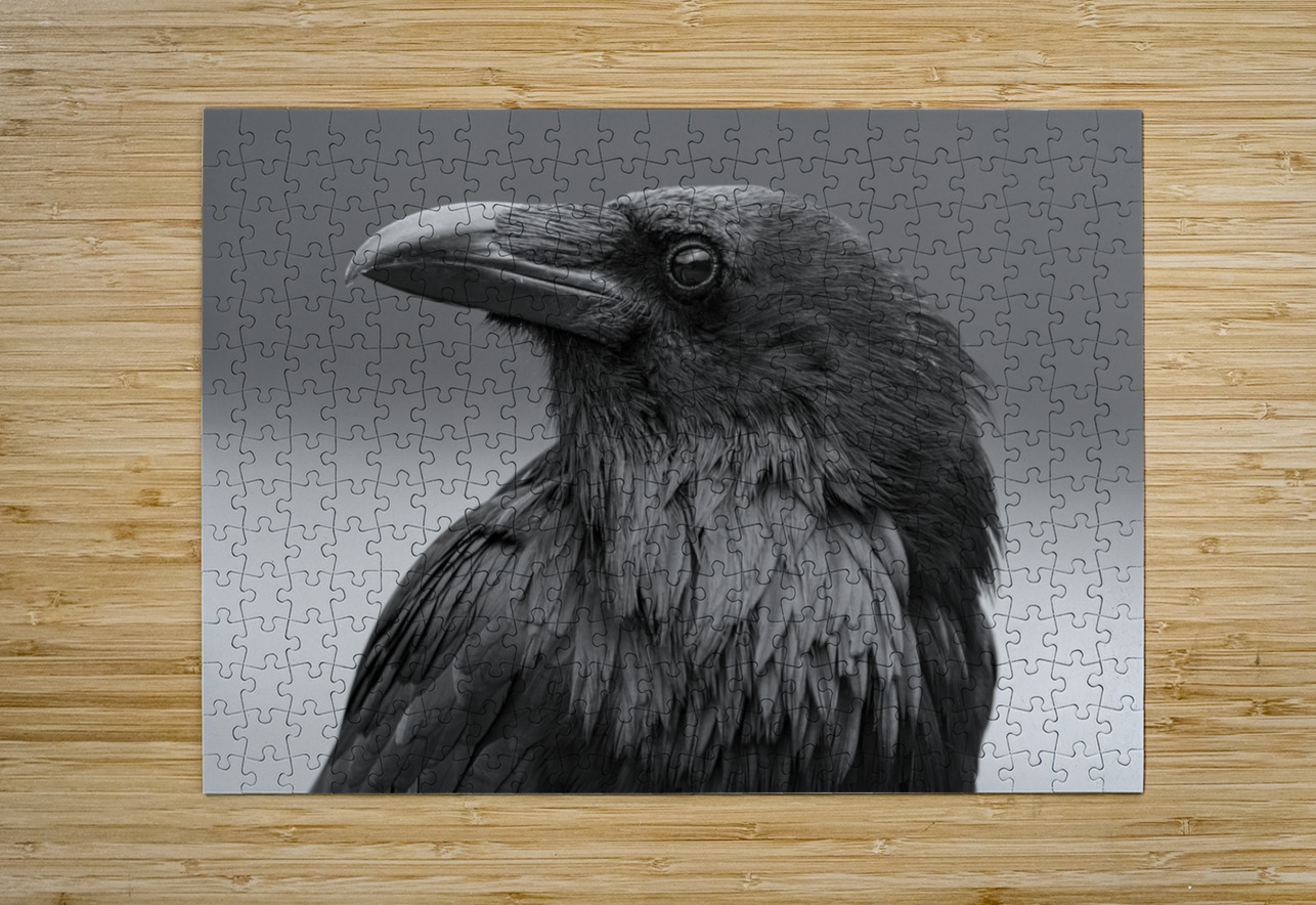 Raven Randy Tremblay Photography Puzzle printing