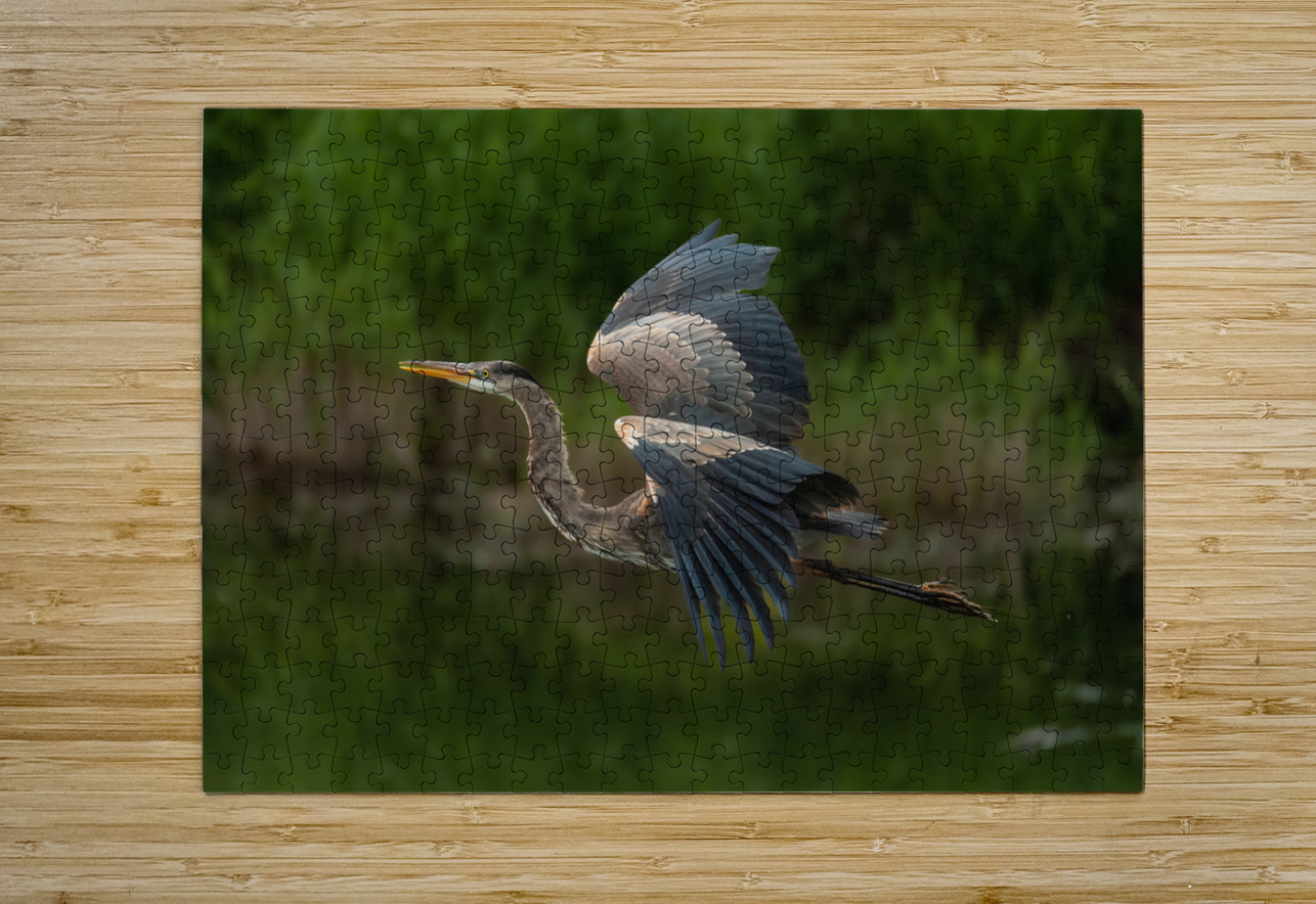 Great Blue Heron Randy Tremblay Photography Puzzle printing